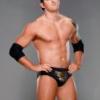 WWE '12: Anche Randy Savage confermato - ultimo post di Barrett93 
