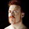 resistenza (stamina) in wwe 2k14 - ultimo post di 9Sheamus9 