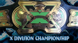 TNA X Division Championship Title History